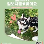 볼트/남아/6개월 이미지