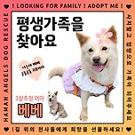 [가족을찾아요] 베베/여아/3살 이미지