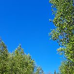 The sky is clear today. Hot. 🌞 이미지