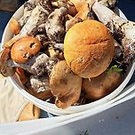 This time we collected more 😊 이미지