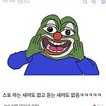 요즘 마블영화 스포 아무도 신경 안 쓰는 이유 이미지