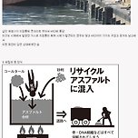 일본 야쿠자 시체 처리 방식 (Feat.신세계) 이미지