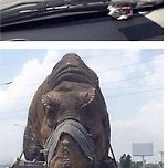 쥬라기월드 촬영 동물학대 논란ㄷㄷ 이미지