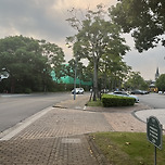 동네 산보길~ 7000 이미지