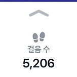 231110-걸음 이미지