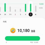 이틀 연속 만보 달성! 이미지