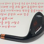 풀페이스웨지 이미지