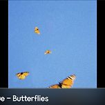 Butterflies by Fiji Blue 이미지