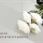 온라인 추모관] 2024년 일본군 위안부 피해자 기림의 날 (8/14) 이미지