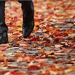 11월의 연서 이미지