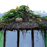 어머니의 가을 이미지