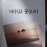 담쟁이/ 김연식 이미지