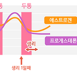 배란때와 생리때 두통오는 이유 이미지