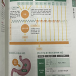 병약녀들아 혈액 순환이 제일 중요하대! 이미지