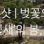 꽃피는 봄날이 오면 가보고 싶은곳 남양주 대형카페 달빛새" 이미지