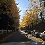 가을끝자락에 안양수목원으로 이미지