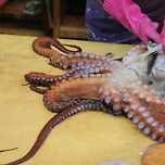 영지수산 이미지