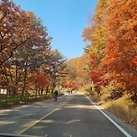 충남 말티재ㆍ법주사ㆍ문광저수지 이미지
