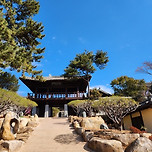 완도 &amp; 해남 여행 이미지