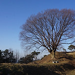 함안 성산산성 × 무진정 이미지