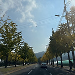 조금 묵힌 대구 팔공산이야기 이미지