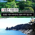 사랑이 이뤄진다는 우리나라 명소 7곳 이미지