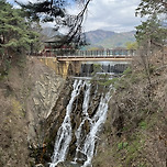 제천 재밌네요! 이미지