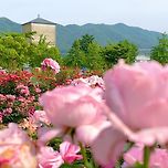 늦게 보면 손해인 영동 여행 BEST 이미지