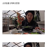 스위스에서 쌀국수1+스프링롤2 먹었을 때 가격 이미지