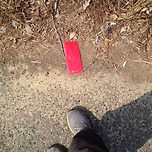 대만의 금기 문화 이미지