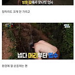 생각보다 여행프로에 잘 어울렸던 사람 이미지