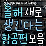 올해 새로 생긴다는 항공편 모음 이미지