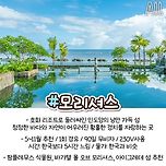 흔하지 않은 신혼 여행지 모음.jpg 이미지