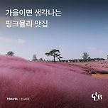 가을이면 생각나는 핑크뮬리 맛집 모음.jpg 이미지