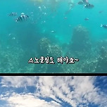 연차 안쓰고 주말에 괌 여행하는 집념의 직장인 이미지