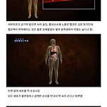 과식이 노화 부스터인 이유 .jpg 이미지