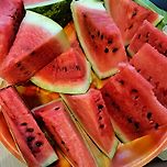 It is hot outside.🌞 🍉👍 이미지