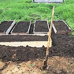 🌱 - 🥔🥕🥬🧅 이미지