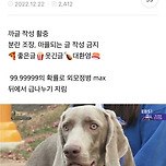 난 예쁜 애들이 좋아&#34; 라고 말하는 여자애들한테 트라우마있는 달글 이미지