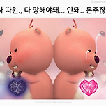 뤂적갈등.jpg 이미지