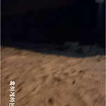 클럽가기전 남자들의 각오 이미지