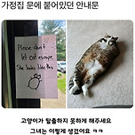냥이집사 집앞에 붙어있던 안내문.jpg 이미지