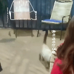 고양이의 능숙한 하강능력.gif 이미지