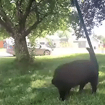 나비와 교감하는 멈무.gif 이미지