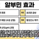 알부민 효과 없는 이유 이미지