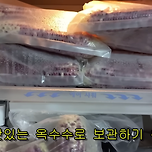 생옥수수 보관방법은? 이미지