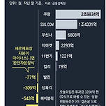 주요 이커머스 자본현황 이미지