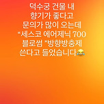 드디어 풀린 덕수궁 건물 내 좋은 향기의 비밀 이미지