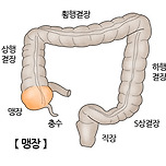 대학병원으로 가면 진료 및 처치가 매우 힘든 대표적인 상황 3가지 이미지