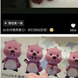 망한 양모펠트 자랑 대회 (루피 ver.) 이미지